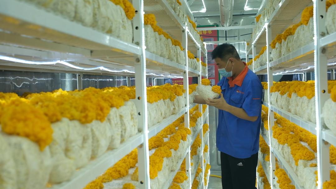 ɽ|fS𡱮a(chn)I(y)ġƼ(wn)a(chn)