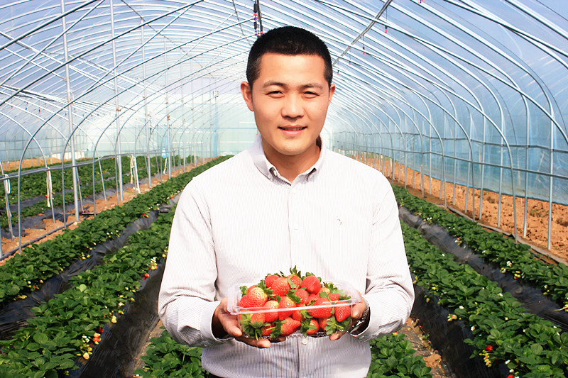 ��Ҋ(ji��n) ��ݮ���� ֻ����� ���� �_(t��i)���f�^(q��)�����(zh��n)������ݮ�@��ݮ���r����